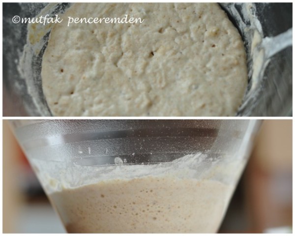 1-EKŞİ MAYA VE EKMEĞİM1