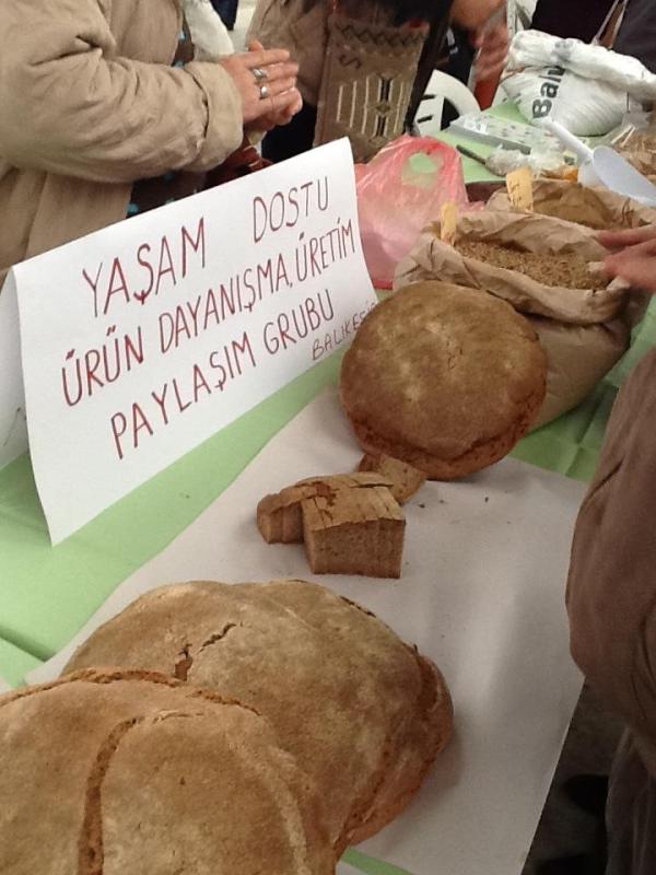 539769_10151340422070738_1540138289_n