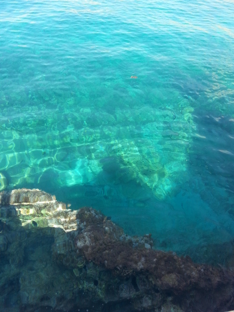 1-20130826_102542-001