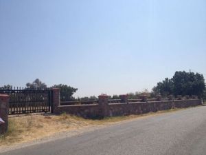 1-IMG-20130831-WA0000