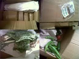 1-paket