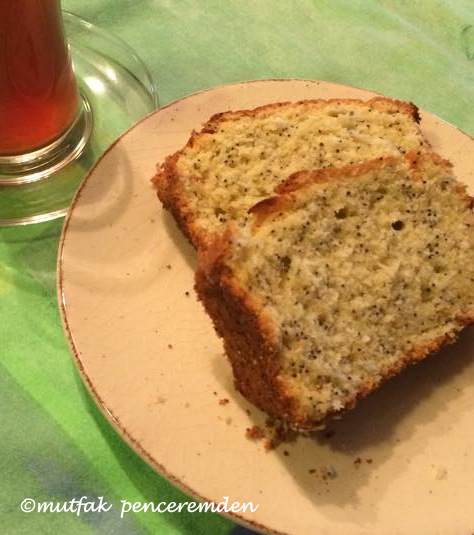 1-11042172_10152613654635124_677433902_n