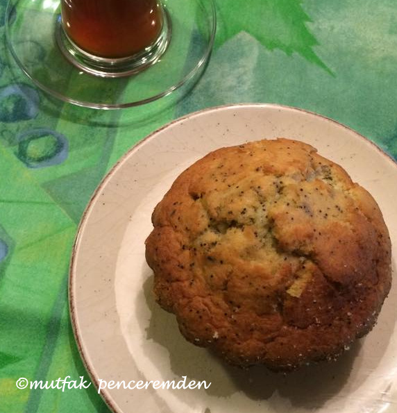 1-11051023_10152613650695124_1633072385_n