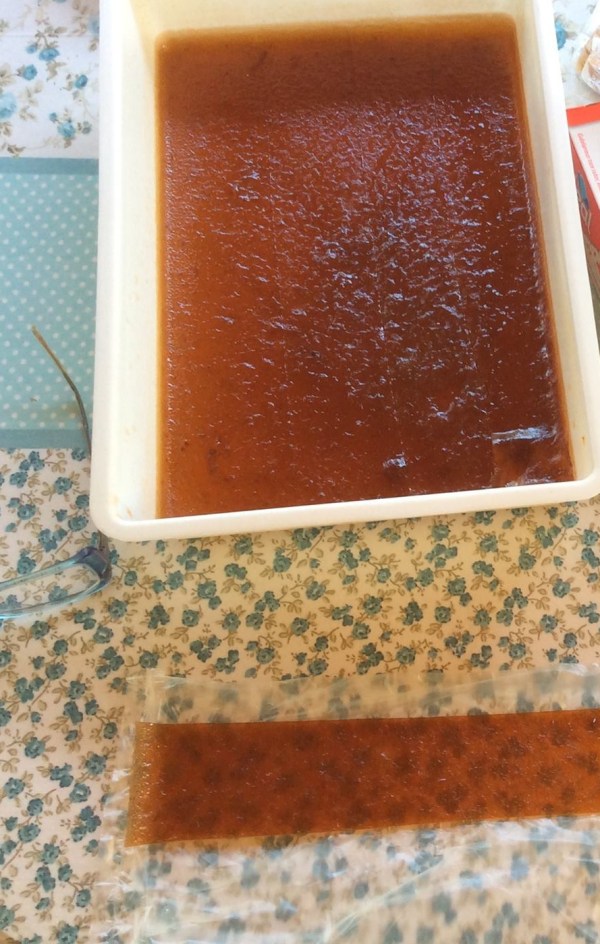 1-885619_10152861617411384_2388564597299332180_o