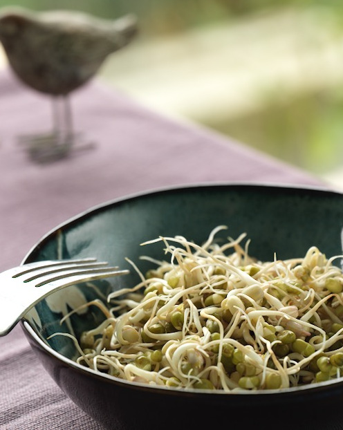 1-organikmasfasulyesifilizi