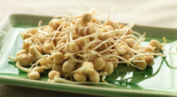 1-organiknohutfilizi