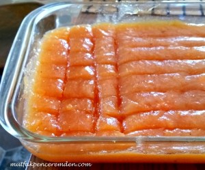 1-20160317_084736-001